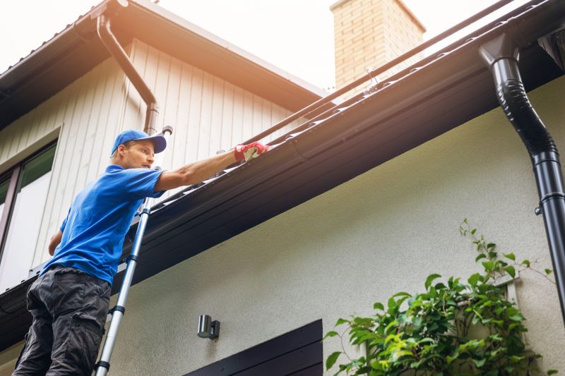 Handyman Gutter Services