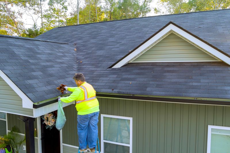 Handyman Gutter Services