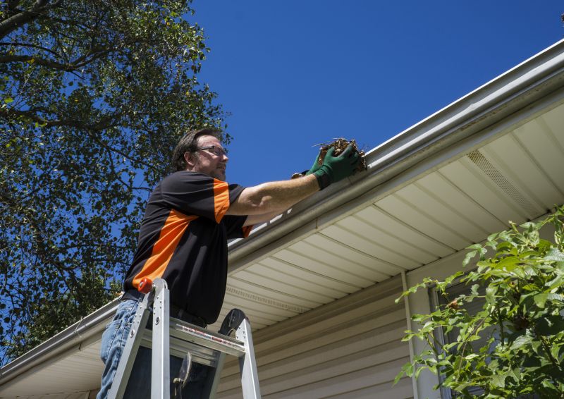 Handyman Gutter Services