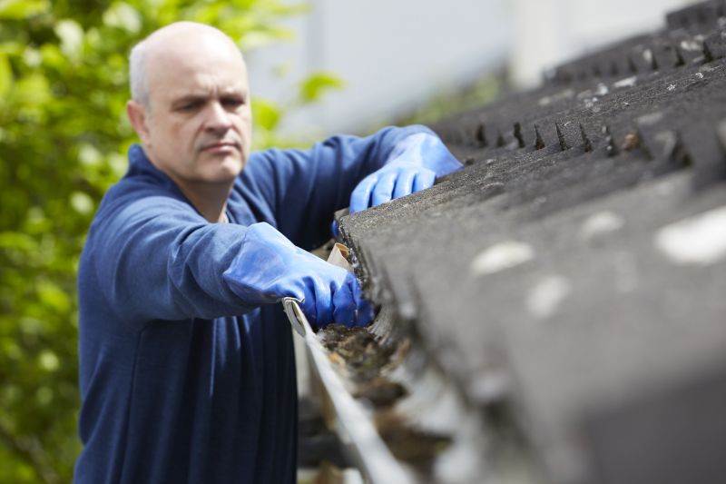 Handyman Gutter Services